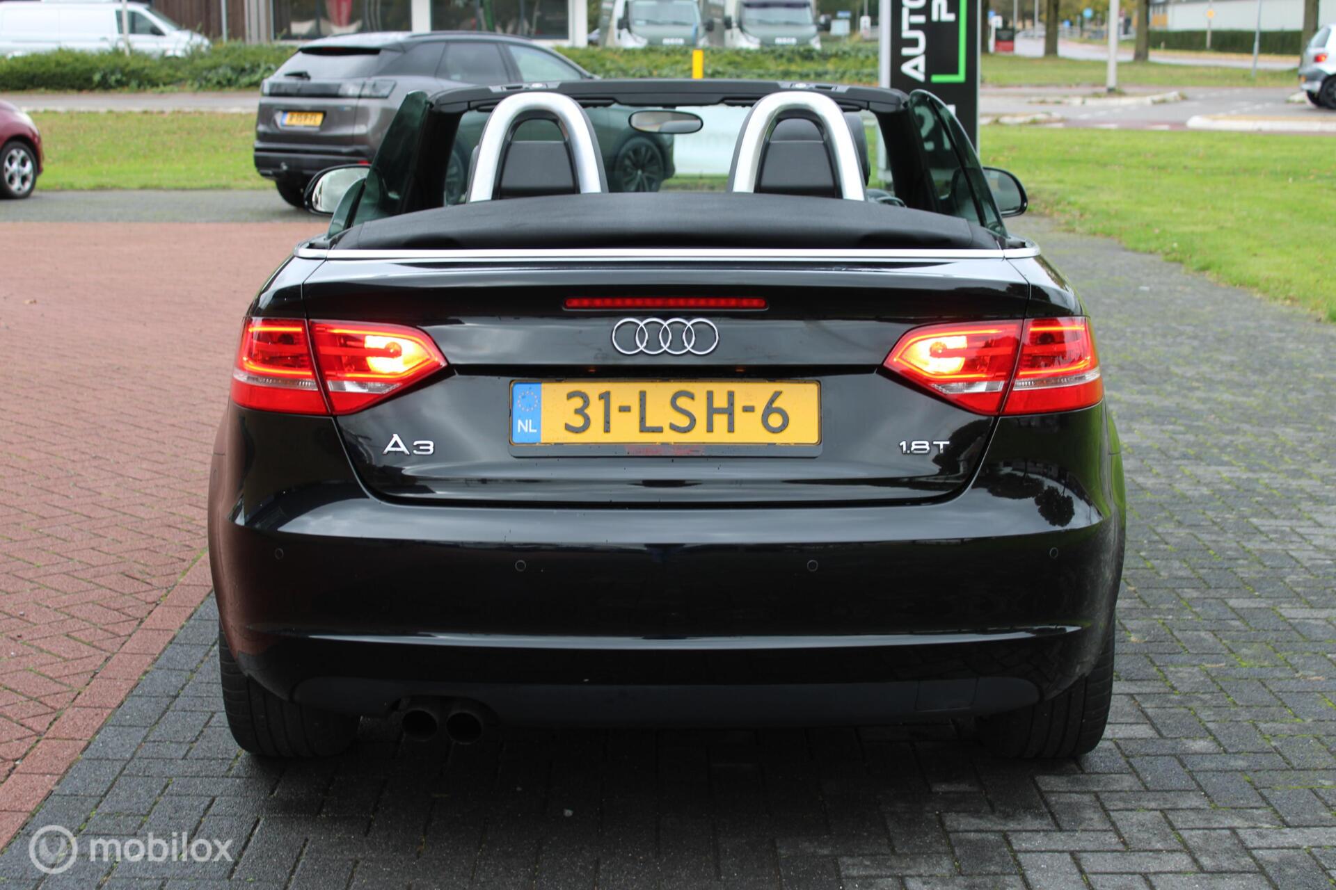 48671634-7.jpg
