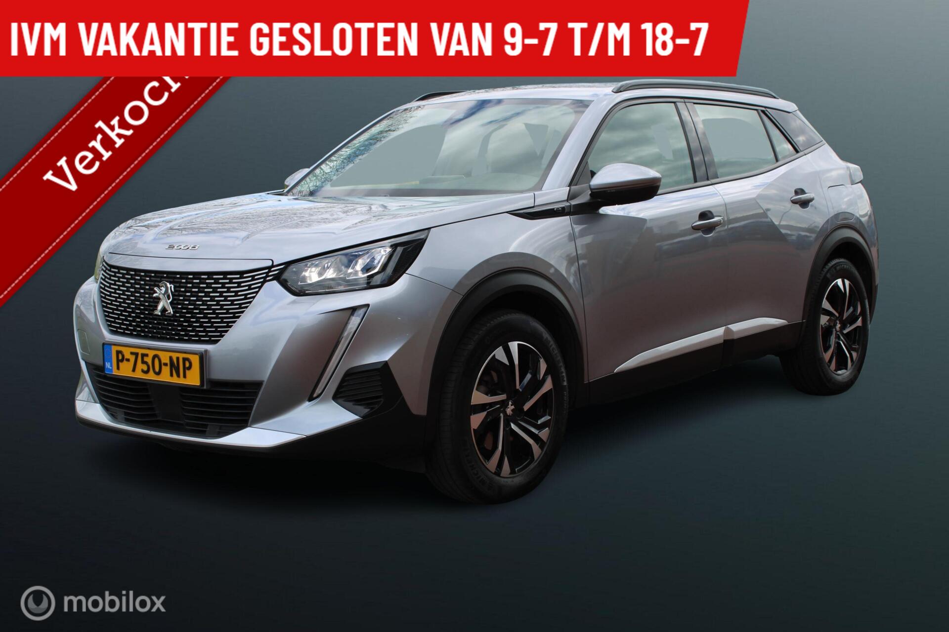 52906020